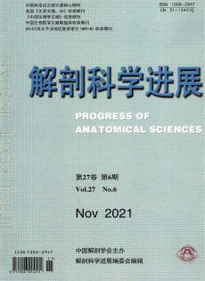 解剖科學(xué)進展