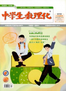 中學(xué)生數(shù)理化·八年級數(shù)學(xué)·配合人教社教材雜志