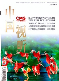 中國視聽